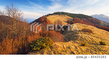 Autumn Landscape Autumn Landscape 85435263