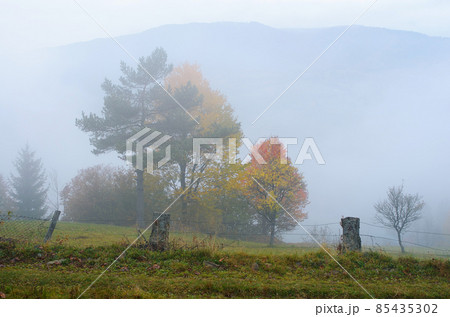 Autumn mist 85435302
