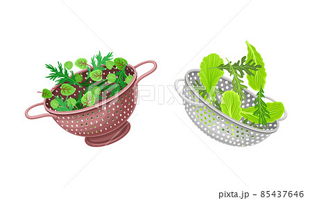 Vegetables in kitchen colander set. Strainers full of fresh arugula, chard, watercress, lettuce greenery. Healthy organic food vector illustration 85437646