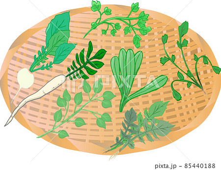 ザルに飾った春の七草 85440188