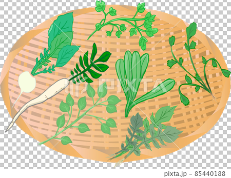 ザルに飾った春の七草 85440188