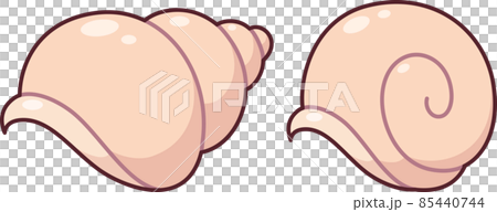 Cute cartoon snail shells Cute cartoon snail shells 85440744