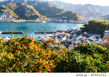 《広島県》下蒲刈島・三之瀬の朝の風景 《広島県》下蒲刈島・三之瀬の朝の風景 85441231