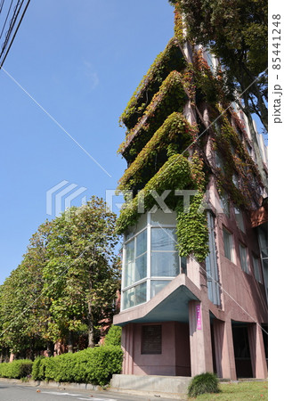 埼玉県宮代町のコミュニティーセンター 進修館の建物 85441248