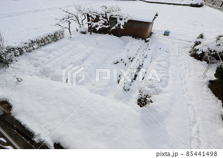 冬の家庭菜園、雪景色 冬の家庭菜園、雪景色 85441498