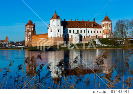 Mir Castle surrounded by ponds Mir Castle surrounded by ponds 85442442