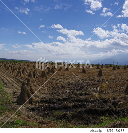 日本で最も美しい村 85443083