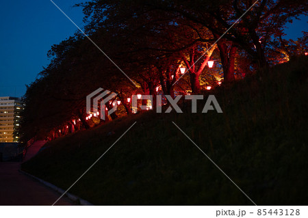 EOSR6.広島廿日市、夜の灯篭道。 85443128