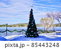 クリスマスツリー 85443248