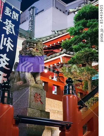 東京、上野にある摩利支天徳大寺の狛犬です 東京、上野にある摩利支天徳大寺の狛犬です 85443405