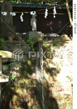 深大寺　不動の滝 85443848