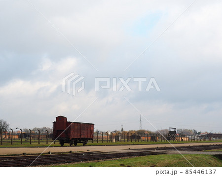 ポーランドの景色 85446137