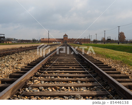 ポーランドの景色 85446138