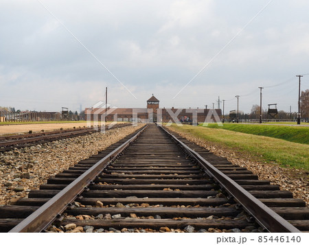 ポーランドの景色 85446140