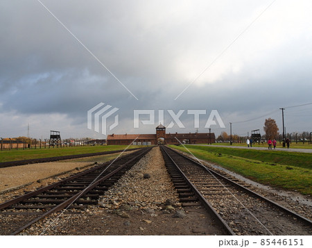 ポーランドの景色 85446151