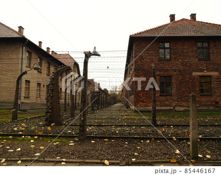 ポーランドの景色 85446167