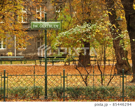 ポーランドの景色 85446294