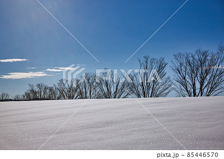 福井県立図書館 福井県立図書館 85446570