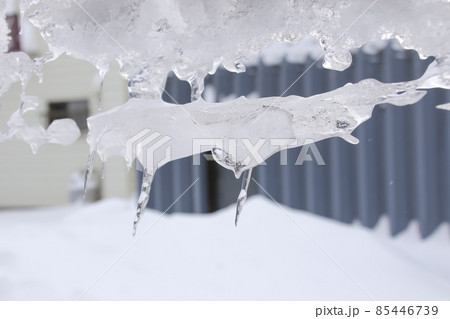 氷、つらら、冬、雪、冬景色、雪景色、北国、氷柱、北海道、極寒、寒い、凍結、凍る 氷、つらら、冬、雪、冬景色、雪景色、北国、氷柱、北海道、極寒、寒い、凍結、凍る 85446739