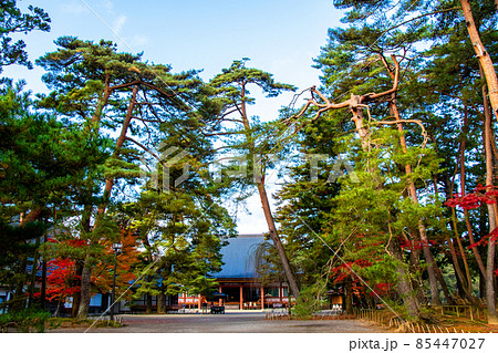 岩手県 平泉 世界遺産 毛越寺の境内 岩手県 平泉 世界遺産 毛越寺の境内 85447027