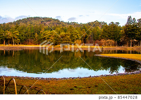 岩手県 平泉 世界遺産 毛越寺 大泉が池と塔山 岩手県 平泉 世界遺産 毛越寺 大泉が池と塔山 85447028
