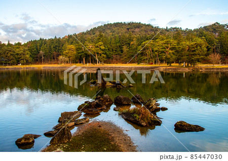 岩手県　平泉　世界遺産　毛越寺　大泉が池の出島石組と池中立石 85447030
