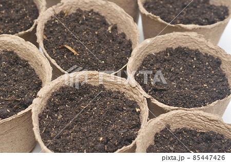peat pots peat pots 85447426