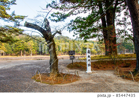 岩手県 平泉 世界遺産 毛越寺 南大門跡 岩手県 平泉 世界遺産 毛越寺 南大門跡 85447435