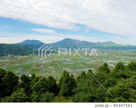 阿蘇のカルデラと五岳　（熊本県城山展望所） 85447561