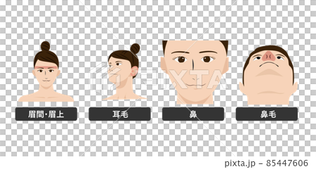 Man Face Images  Free Photos, HD Backgrounds, PNGs, Vectors