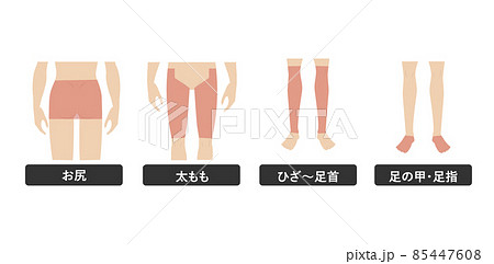 白バックの若いアジア人女性の脱毛エステの下半身の脚の箇所指示イメージイラスト図のイラスト素材