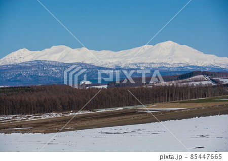 雪が残る春の畑作地帯と雪山　大雪山 85447665