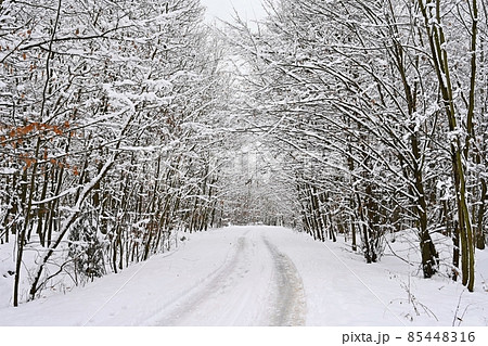 Snowy road with trees. Dangerous driving in the snow in winter. Concept for traffic and bad weather. 85448316