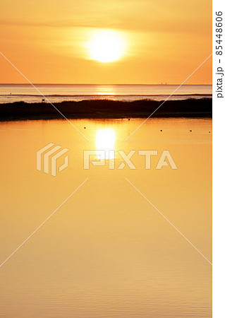 野付湾の早朝の風景 北海道 野付湾の早朝の風景 北海道 85448606