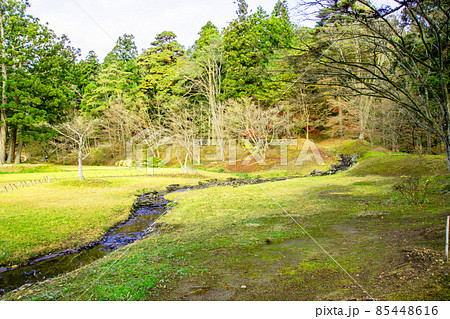 岩手県　平泉　世界遺産　毛越寺　遣水 85448616