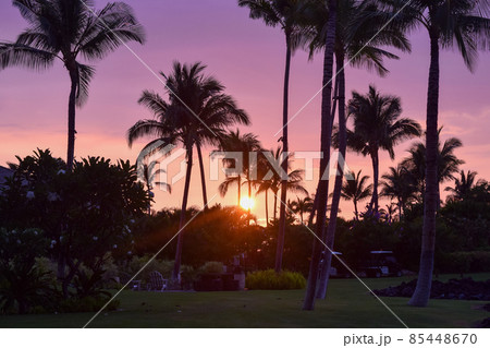 ハワイ島の情景 85448670