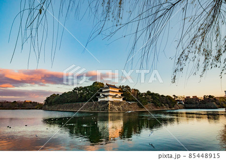 夕方の名古屋城　柳とお堀の西北隅櫓 85448915