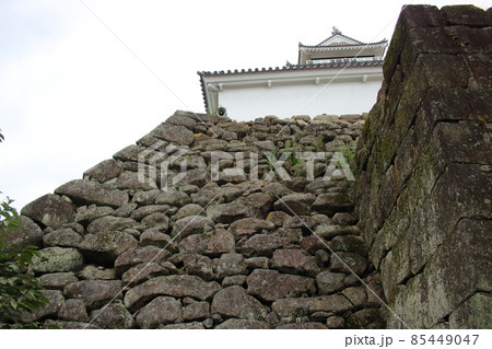 お城の石垣と天守閣 お城の石垣と天守閣 85449047