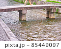 京都市東山区の白川に掛かる一本橋と橋を渡る女性の足 85449097