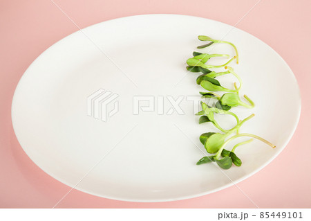 Micro greens on a white plate. Microgreen sunflower seed. Healthy food concept from fresh garden Micro greens on a white plate. Microgreen sunflower seed. Healthy food concept from fresh garden 85449101