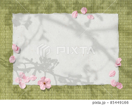 桜のシルエットが写る和紙とタタミ、散りゆく桜の花びら 85449166