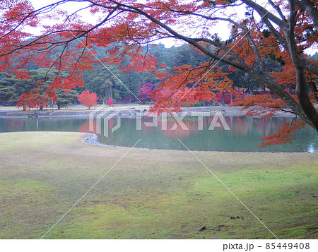 岩手県 平泉 世界遺産 雨に煙る毛越寺 大泉が池の洲浜とイロハモミジの紅葉 岩手県 平泉 世界遺産 雨に煙る毛越寺 大泉が池の洲浜とイロハモミジの紅葉 85449408