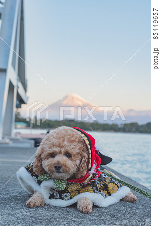富士山と犬 85449657