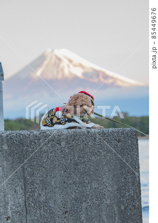 富士山と犬 富士山と犬 85449676