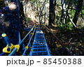 秩父　三峰神社奥宮　妙法ヶ岳への登山道にある階段 85450388
