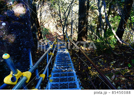 秩父　三峰神社奥宮　妙法ヶ岳への登山道にある階段 85450388