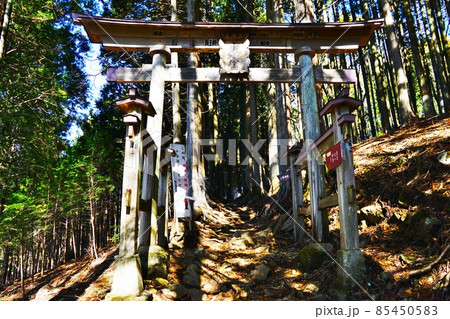 秩父　三峰山　三峯神社奥宮へ登山道の鳥居 85450583
