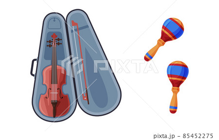 Violin in Case and Maraca as Musical Instrument Vector Set 85452275