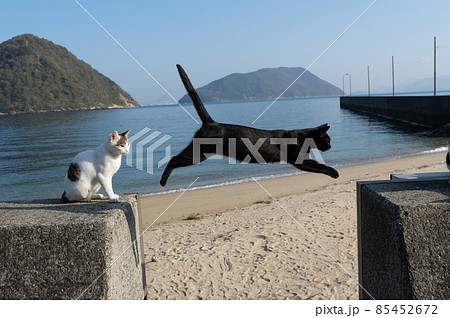 ジャンプする猫 ジャンプする猫 85452672
