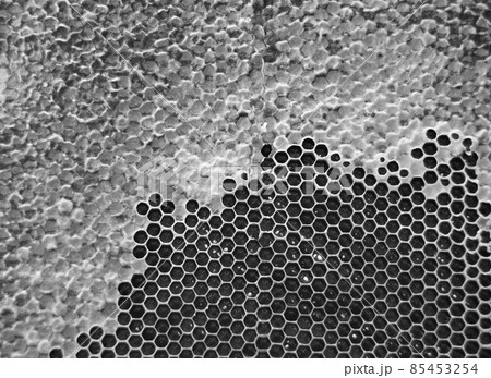 Drop of bee honey drip from hexagonal honeycombs Drop of bee honey drip from hexagonal honeycombs 85453254